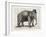 Elephant In A Bowler-Christopher James-Framed Art Print