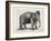 Elephant In A Bowler-Christopher James-Framed Art Print