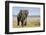 Elephant in Ngorongoro Conservation Area, Tanzania-Paul Souders-Framed Photographic Print