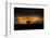 Elephant in Rainstorm at Sunset-Xavier Ortega-Framed Photographic Print