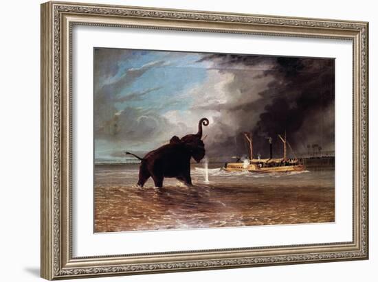 Elephant in Shallow Waters of Shire River, 1859-Thomas Baines-Framed Giclee Print