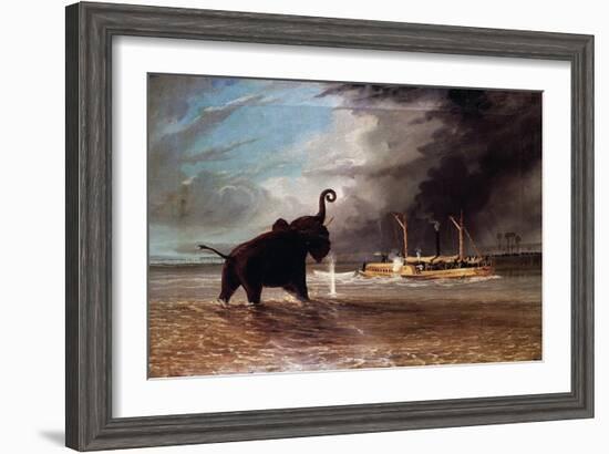 Elephant in Shallow Waters of Shire River, 1859-Thomas Baines-Framed Giclee Print