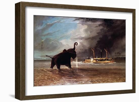 Elephant in Shallow Waters of Shire River, 1859-Thomas Baines-Framed Giclee Print