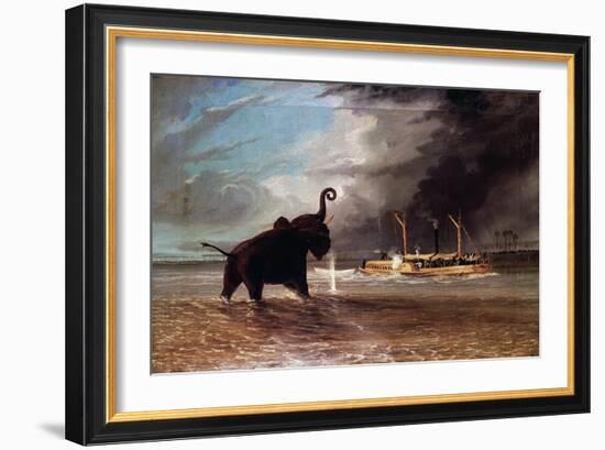 Elephant in Shallow Waters of Shire River, 1859-Thomas Baines-Framed Giclee Print