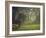 Elephant in the Early Morning Mist Feeding on Water Hyacinths, Mana Pools, Zimbabwe-John Warburton-lee-Framed Photographic Print