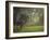 Elephant in the Early Morning Mist Feeding on Water Hyacinths, Mana Pools, Zimbabwe-John Warburton-lee-Framed Photographic Print