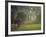 Elephant in the Early Morning Mist Feeding on Water Hyacinths, Mana Pools, Zimbabwe-John Warburton-lee-Framed Photographic Print