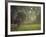 Elephant in the Early Morning Mist Feeding on Water Hyacinths, Mana Pools, Zimbabwe-John Warburton-lee-Framed Photographic Print