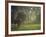 Elephant in the Early Morning Mist Feeding on Water Hyacinths, Mana Pools, Zimbabwe-John Warburton-lee-Framed Photographic Print