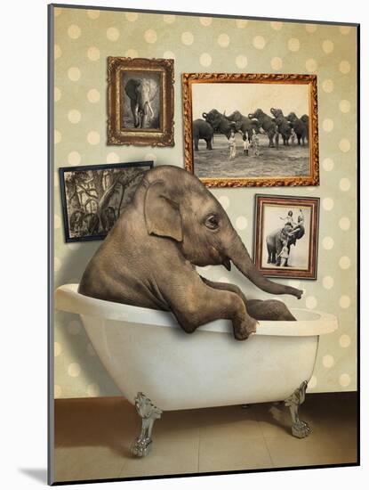 Elephant in Tub-J Hovenstine Studios-Mounted Giclee Print