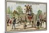 Elephant, Jardin D'Acclimation, Paris-null-Mounted Giclee Print