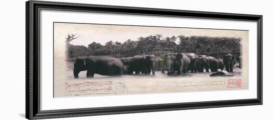 Elephant Journal-Malcom Sanders-Framed Art Print