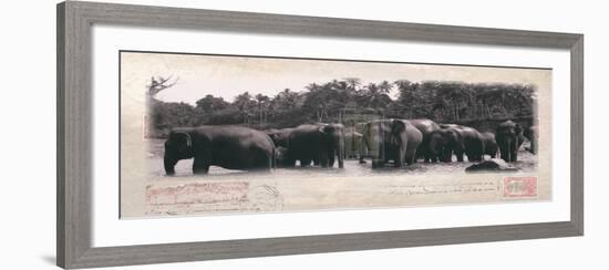 Elephant Journal-Malcom Sanders-Framed Art Print