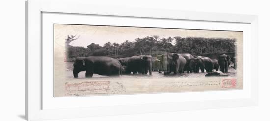 Elephant Journal-Malcom Sanders-Framed Art Print