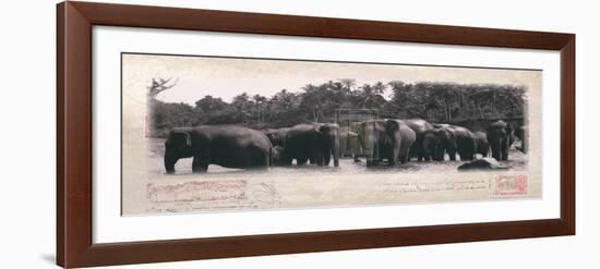 Elephant Journal-Malcom Sanders-Framed Art Print
