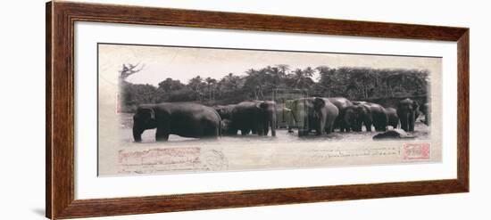 Elephant Journal-Malcom Sanders-Framed Art Print