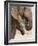 Elephant (Loxodonta Africana) and Baby, Addo Elephant National Park, Eastern Cape, South Africa-Ann & Steve Toon-Framed Photographic Print