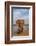 Elephant (Loxodonta africana) resting trunk on its tusk, Zimanga game reserve, KwaZulu-Natal, South-Ann and Steve Toon-Framed Photographic Print