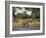 Elephant, Loxodonta Africana, with Waterbuck, at Water in Kruger National Park-Steve & Ann Toon-Framed Photographic Print