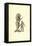 Elephant Man And Horned Boy-Ulisse Aldrovandi-Framed Stretched Canvas