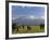 Elephant, Mt. Kilimanjaro, Masai Mara National Park, Kenya-Peter Adams-Framed Photographic Print