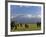 Elephant, Mt. Kilimanjaro, Masai Mara National Park, Kenya-Peter Adams-Framed Photographic Print