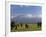 Elephant, Mt. Kilimanjaro, Masai Mara National Park, Kenya-Peter Adams-Framed Photographic Print