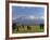 Elephant, Mt. Kilimanjaro, Masai Mara National Park, Kenya-Peter Adams-Framed Photographic Print