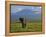 Elephant, Mt. Kilimanjaro, Masai Mara National Park, Kenya-Peter Adams-Framed Premier Image Canvas