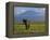 Elephant, Mt. Kilimanjaro, Masai Mara National Park, Kenya-Peter Adams-Framed Premier Image Canvas