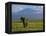 Elephant, Mt. Kilimanjaro, Masai Mara National Park, Kenya-Peter Adams-Framed Premier Image Canvas