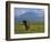 Elephant, Mt. Kilimanjaro, Masai Mara National Park, Kenya-Peter Adams-Framed Photographic Print