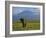 Elephant, Mt. Kilimanjaro, Masai Mara National Park, Kenya-Peter Adams-Framed Photographic Print