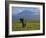 Elephant, Mt. Kilimanjaro, Masai Mara National Park, Kenya-Peter Adams-Framed Photographic Print