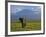 Elephant, Mt. Kilimanjaro, Masai Mara National Park, Kenya-Peter Adams-Framed Photographic Print