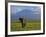 Elephant, Mt. Kilimanjaro, Masai Mara National Park, Kenya-Peter Adams-Framed Photographic Print