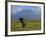 Elephant, Mt. Kilimanjaro, Masai Mara National Park, Kenya-Peter Adams-Framed Photographic Print