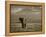 Elephant, Mt. Kilimanjaro, Masai Mara National Park, Kenya-Peter Adams-Framed Premier Image Canvas