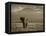 Elephant, Mt. Kilimanjaro, Masai Mara National Park, Kenya-Peter Adams-Framed Premier Image Canvas