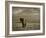 Elephant, Mt. Kilimanjaro, Masai Mara National Park, Kenya-Peter Adams-Framed Photographic Print