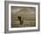 Elephant, Mt. Kilimanjaro, Masai Mara National Park, Kenya-Peter Adams-Framed Photographic Print