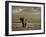 Elephant, Mt. Kilimanjaro, Masai Mara National Park, Kenya-Peter Adams-Framed Photographic Print