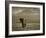 Elephant, Mt. Kilimanjaro, Masai Mara National Park, Kenya-Peter Adams-Framed Photographic Print