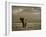 Elephant, Mt. Kilimanjaro, Masai Mara National Park, Kenya-Peter Adams-Framed Photographic Print