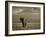 Elephant, Mt. Kilimanjaro, Masai Mara National Park, Kenya-Peter Adams-Framed Photographic Print