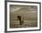 Elephant, Mt. Kilimanjaro, Masai Mara National Park, Kenya-Peter Adams-Framed Photographic Print