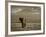 Elephant, Mt. Kilimanjaro, Masai Mara National Park, Kenya-Peter Adams-Framed Photographic Print