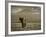 Elephant, Mt. Kilimanjaro, Masai Mara National Park, Kenya-Peter Adams-Framed Photographic Print