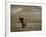 Elephant, Mt. Kilimanjaro, Masai Mara National Park, Kenya-Peter Adams-Framed Photographic Print