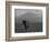 Elephant, Mt. Kilimanjaro, Masai Mara National Park, Kenya-Peter Adams-Framed Photographic Print